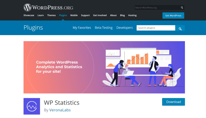 WP Statistics security